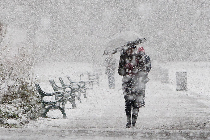 Снег в Ташкенте