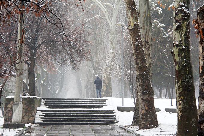 Ташкент в снегу