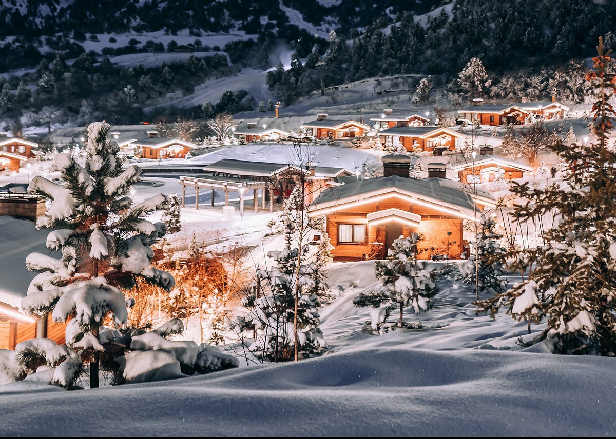 Olomon ayolning mushuk va eshakda keldi Porno filmda etuk rus ayol