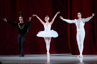 Лебединое озеро