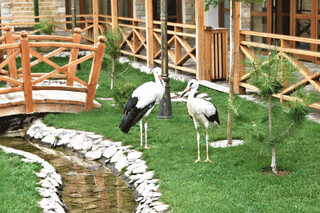 Shedevr Garden