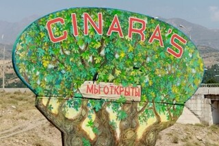 Cinara’s