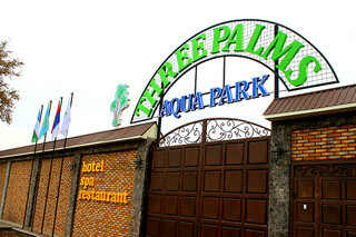 Three Palms