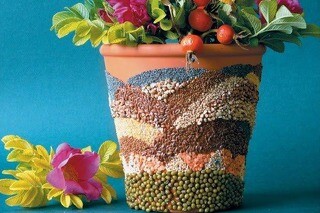 Мастер-классы по садоводству