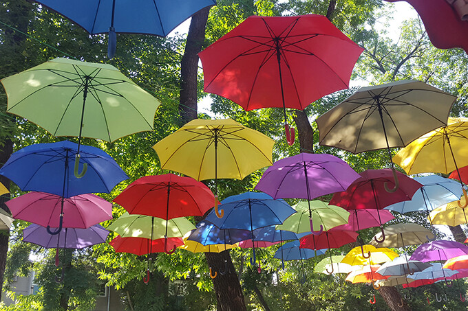 Аллея парящих зонтов появилась в Ташкенте
