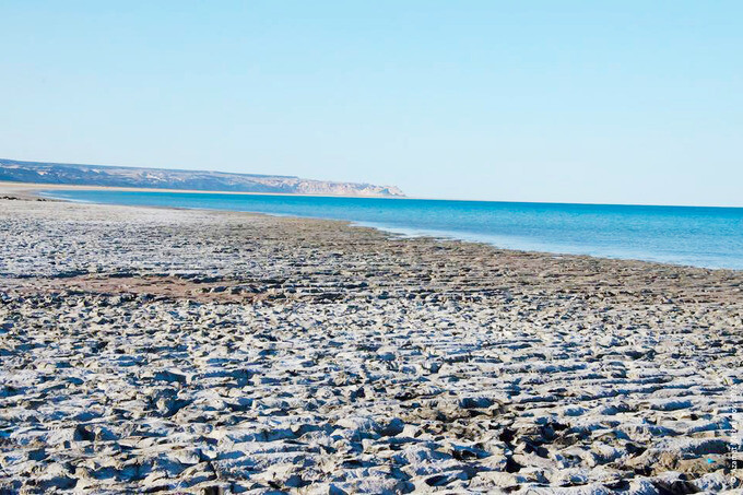 5 причин успеть посетить Аральское море