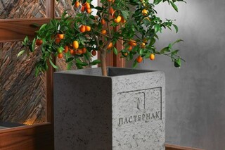 Пастернак