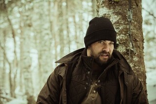 Дикий