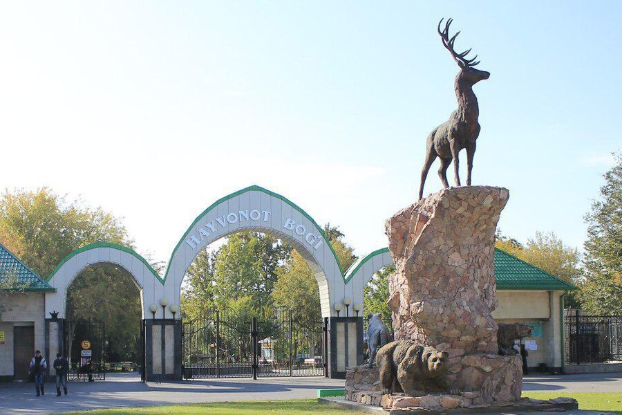Ташкентский зоопарк открыл клуб «Друзья зоопарка»