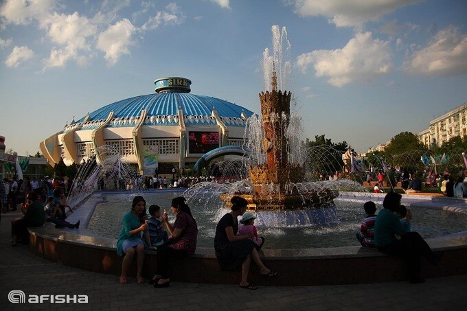 Всемирный день Цирка