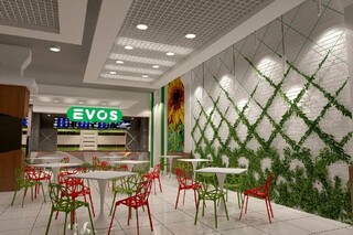 Evos