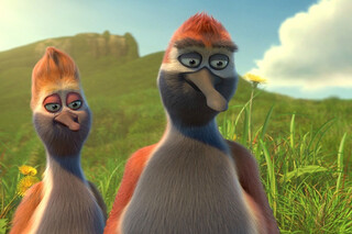 Славные пташки