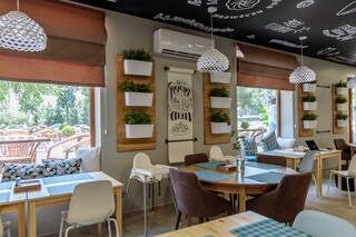 Testo by Zamira&Co