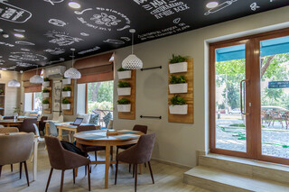 Testo by Zamira&Co