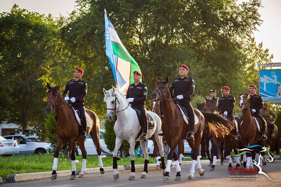 Первый конный парад прошел в Ташкенте