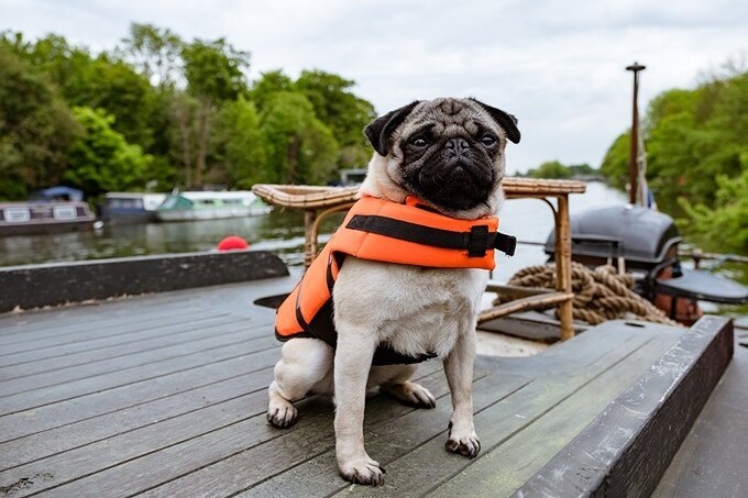 Кино недели: «Патрик»