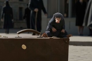 Фантастические твари: Преступления Грин-де-Вальда