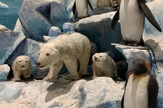 Развлекательный комплекс Ice City
