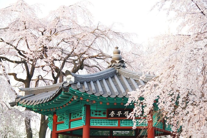 Премьера музыкального спектакля во Дворце корейской культуры и искусств