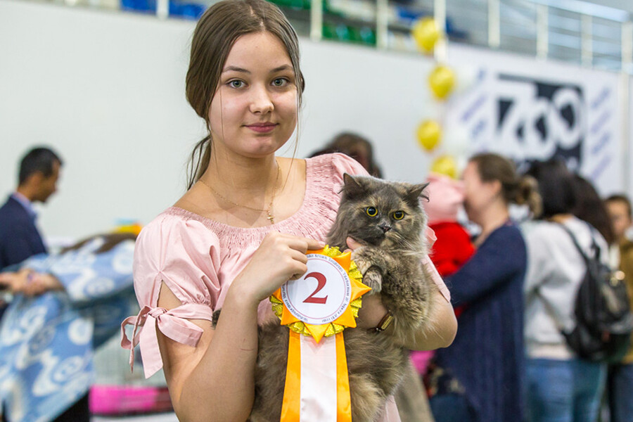 57 лучших кошек Ташкента на Cat World 2019