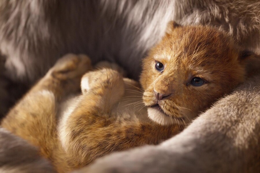Вышел новый трейлер «Короля Льва»