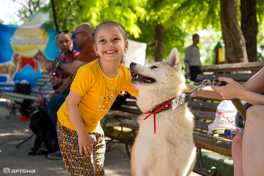 Международная выставка собак Asia Dog Show 2019