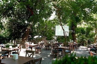 The Park