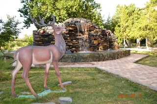 Санаторий Botanika