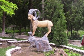 Санаторий Botanika