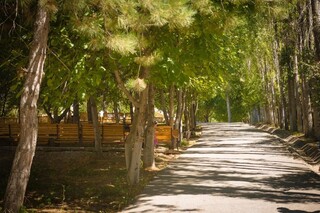 Пансионат Sokol