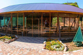 Green Veranda