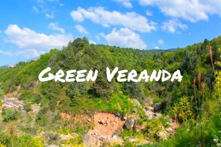 Green Veranda