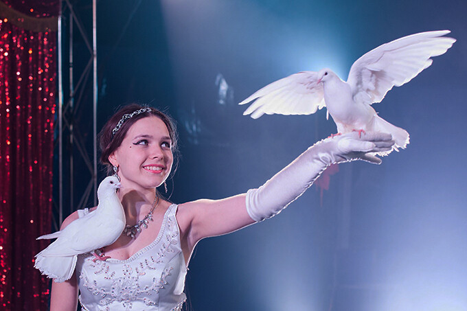 Шоу с голубями в Atlas Yunusobod