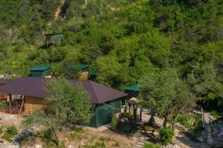 Green Veranda