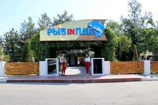 Рыбin Паб