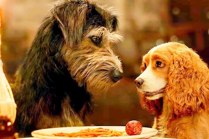 Вышел новый трейлер киноадаптации «Леди и Бродяга»