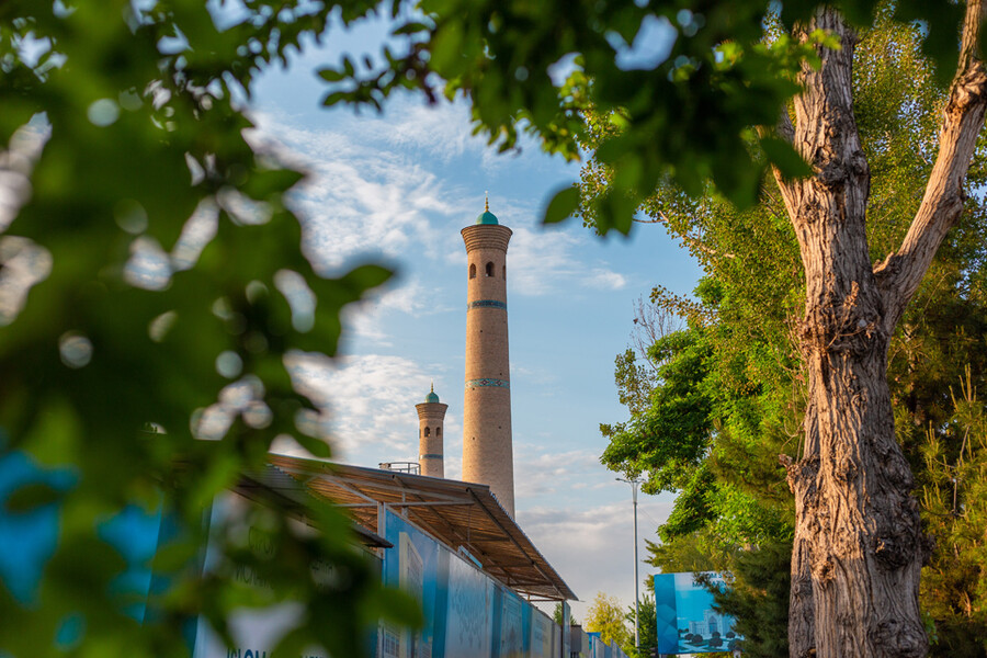 Очень теплая погода без дождей ожидается в Ташкенте