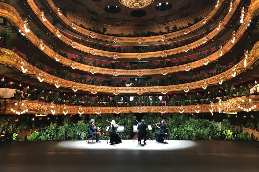 В Барселоне прошел первый концерт после карантина: в оперном театре «сидели» цветы