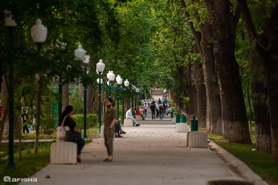 Улицы ожившего Ташкента