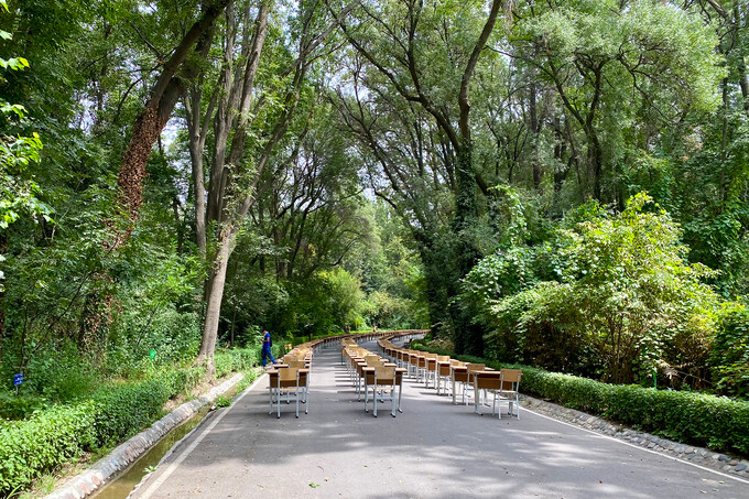 Ташкент после карантина. Ботанический сад