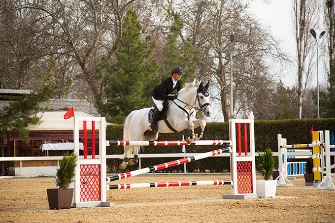 В Ташкенте пройдут международные соревнования по конному спорту