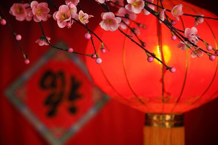 Китайский Новый год в «Изумрудный»