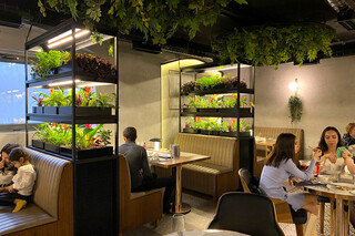 Giotto Gourmet