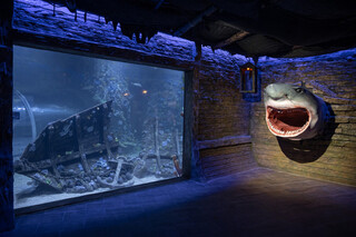 Magic Aquarium