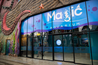 Magic Aquarium