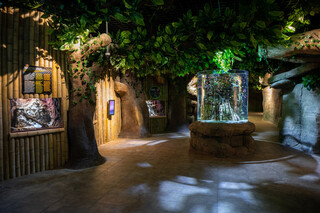 Magic Aquarium