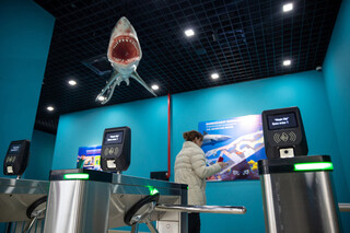 Magic Aquarium