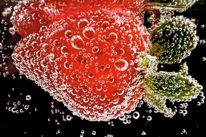 Apple подвела итоги конкурса Shot on iPhone Macro