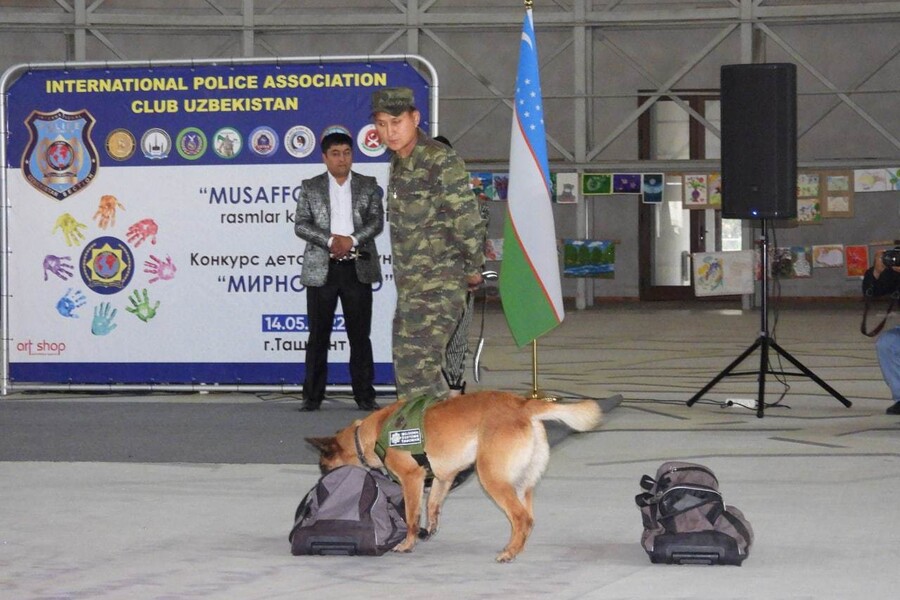 Выставка служебных собак в «Парке Победы»