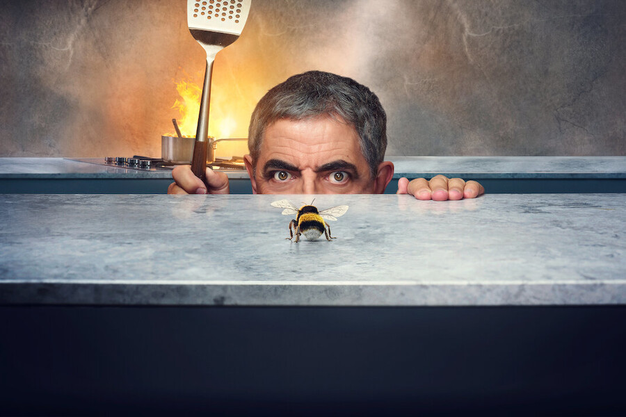 Netflix показал трейлер комедийного сериала «Человек против пчелы»